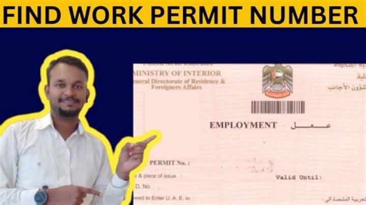 Career Number for Luggers: Unlocking Opportunities in the Logistics and Travel Industry