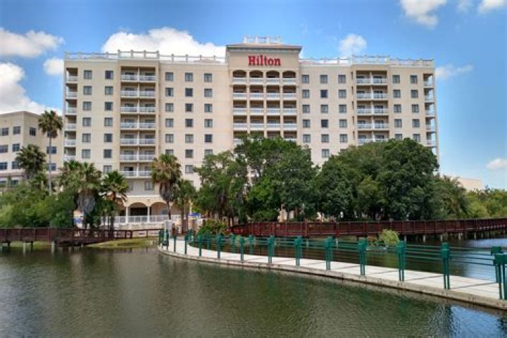 Discover the Allure of Carillon Hiltont Petersburg FL