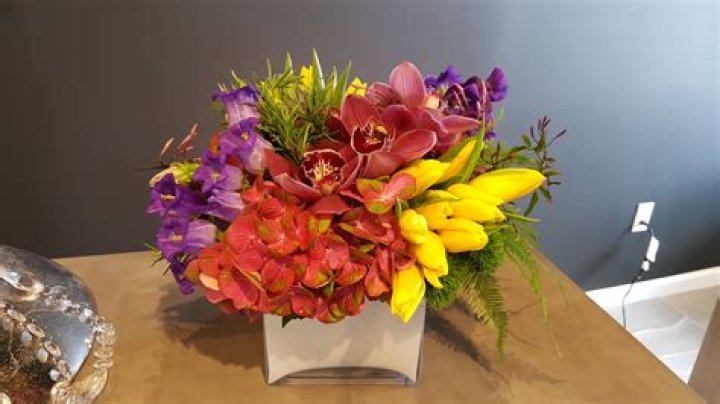 Carol Pecks Woodbury: A Remarkable Journey Through Time