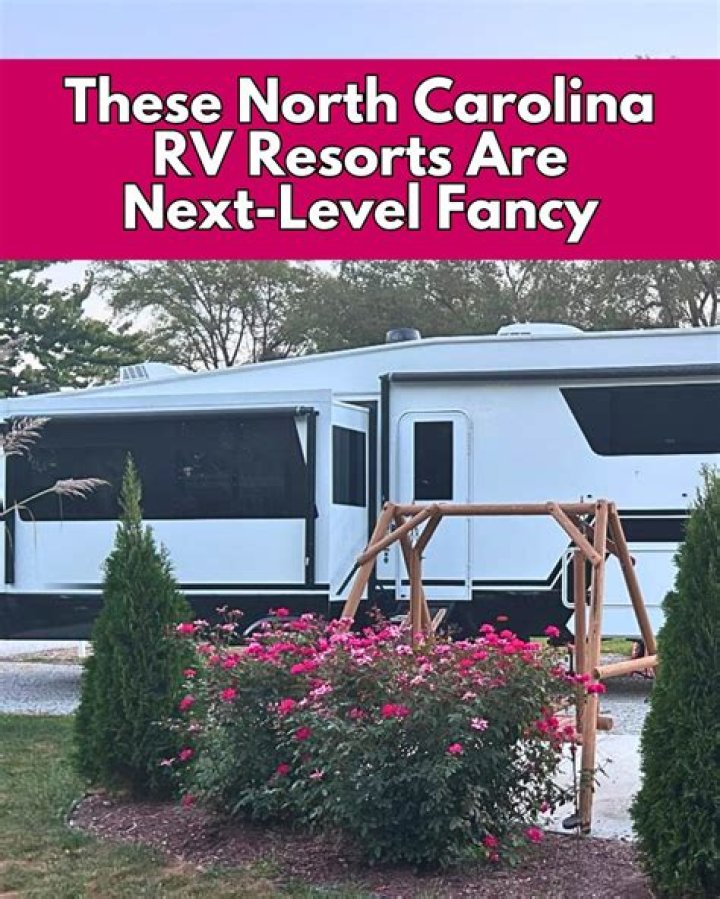 Carolina Reaper Heat Level: A Comprehensive Guide to the World's Hottest Pepper