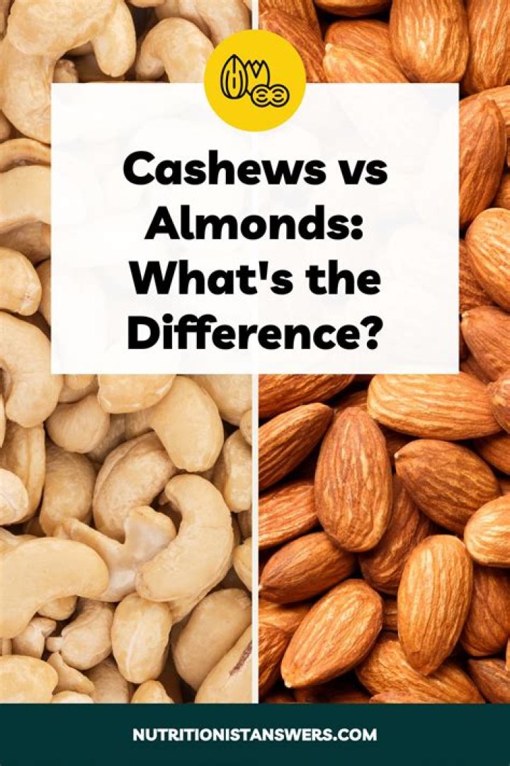 Cashews Dogsafe: Are Cashews Safe for Dogs to Eat?