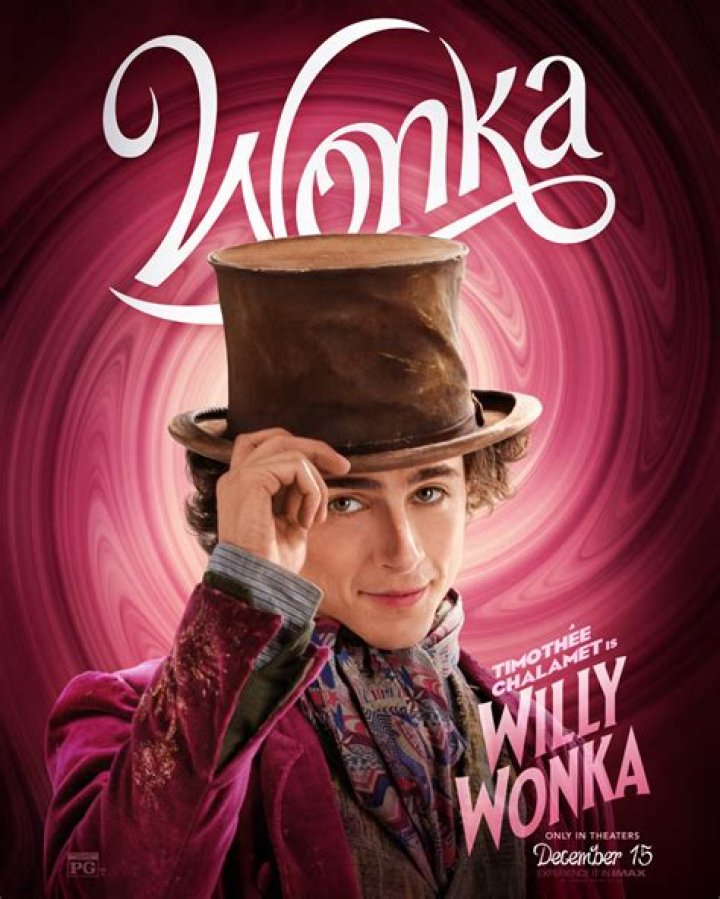 Exploring the Magical World of the Cast from Willy Wonka and Their Remarkable Journeys