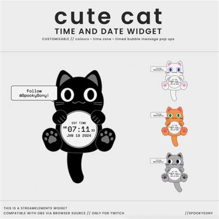 Cat Date: A Unique and Heartwarming Trend for Cat Lovers