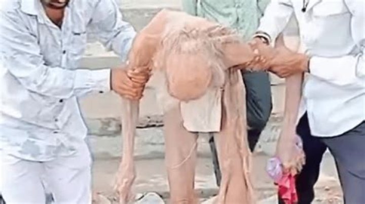 Cave Rescue: 188-Year-Old Man Rescued in an Unprecedented Operation