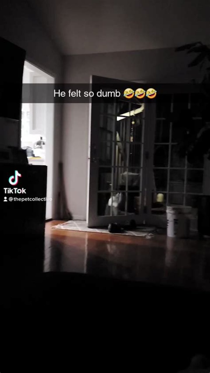 CCTV Idiots Twitter: A Comprehensive Guide to Understanding the Trend