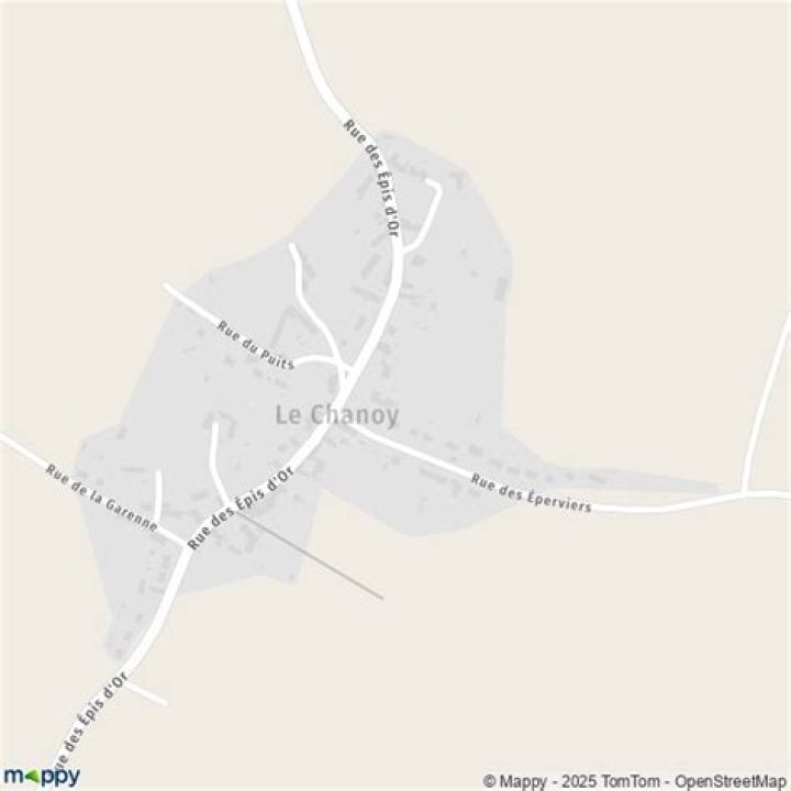 Unveiling the World of Chanoy: Your Ultimate Guide to This Rising Star