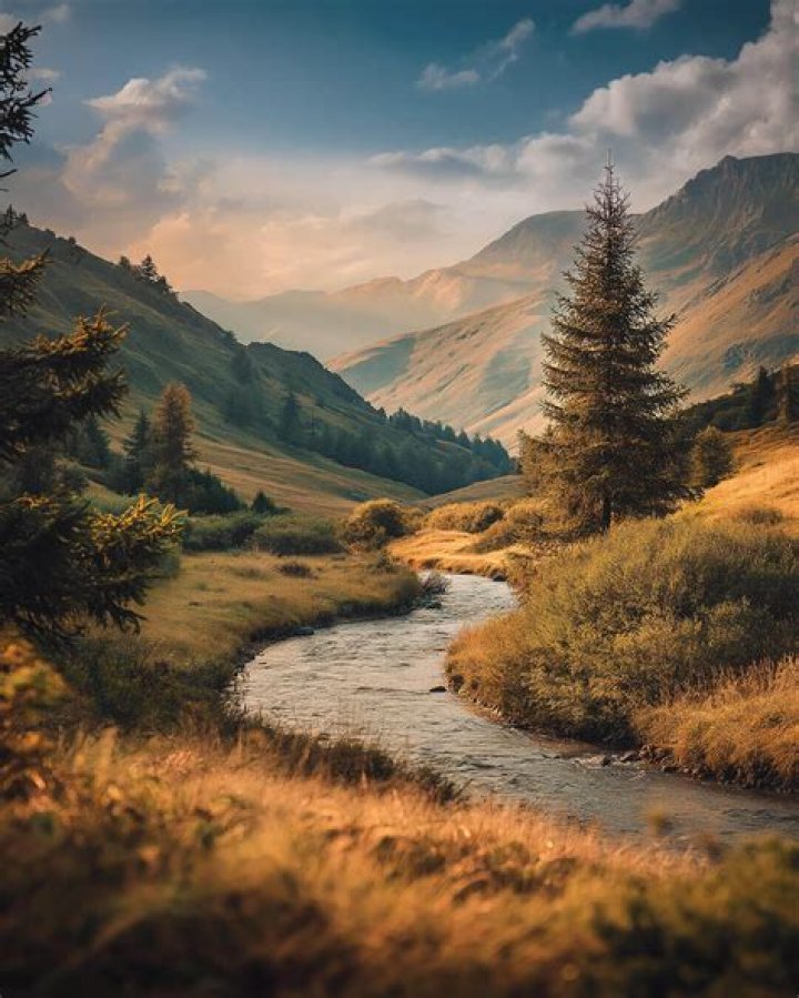 Cheri Comedian: The Life, Career, and Impact of a Hilarious Talent