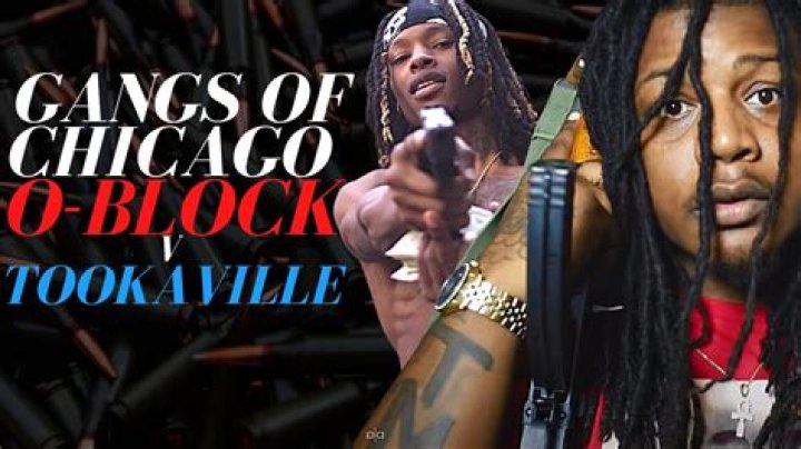 Chicago Gangs O' Block: The Untold Story and Deep Dive