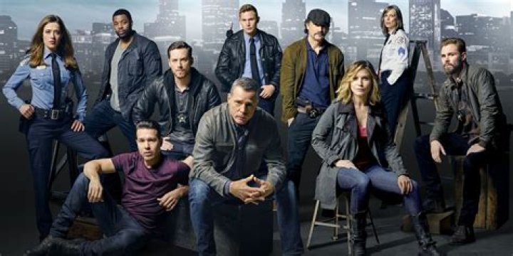 Chicago PD Cast: Meet the Stars Behind the Badge