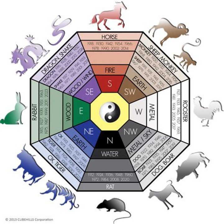Chinese Zodiac 1955 Animal and Element: Discover Your Destiny