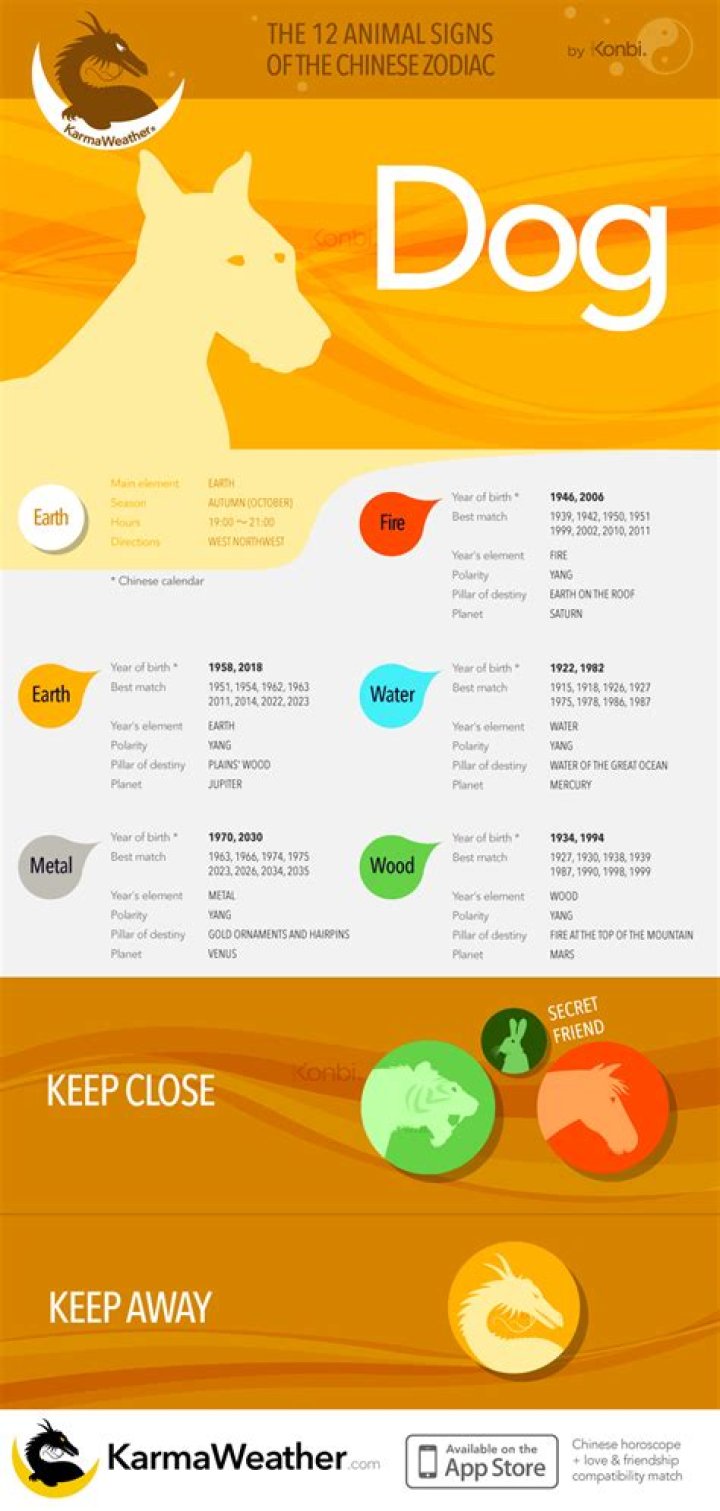 Understanding Chinese Zodiac Dog Negative Traits: A Comprehensive Guide