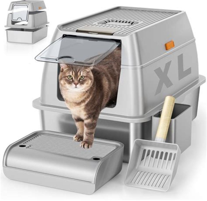Choosing the Perfect Litter Boxes for Cats: A Comprehensive Guide