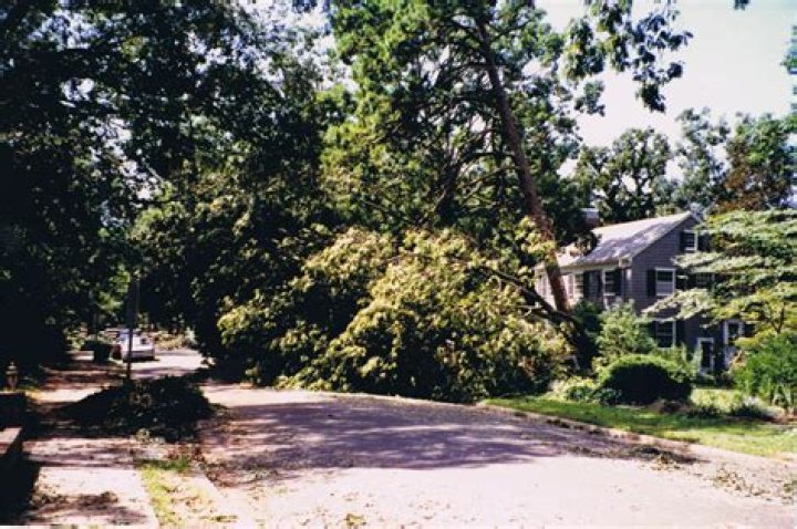 Understanding Climate in Raleigh, NC: A Comprehensive Guide