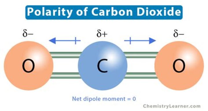 Understanding CO2 Polarity: A Comprehensive Guide