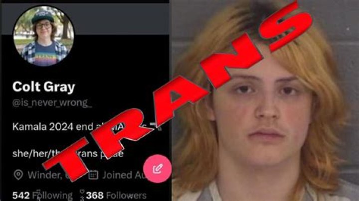 Colt Gray Trans: The Ultimate Guide to Understanding and Exploring