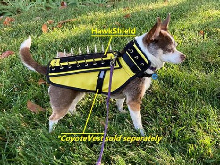 Coyote Deterrent Dog Vest: The Ultimate Protection for Your Beloved Pet