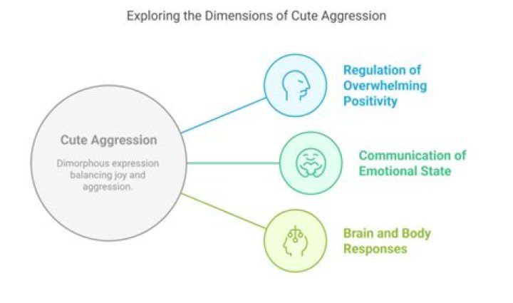 Cute Aggression Meaning: Understanding the Psychological Phenomenon