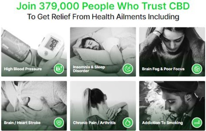 Dana Perino Health: A Comprehensive Look at Her Wellness Journey and Insights