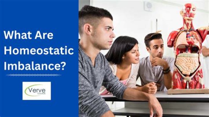 What Does It Mean to Be a Home Body? Discover the True Definition