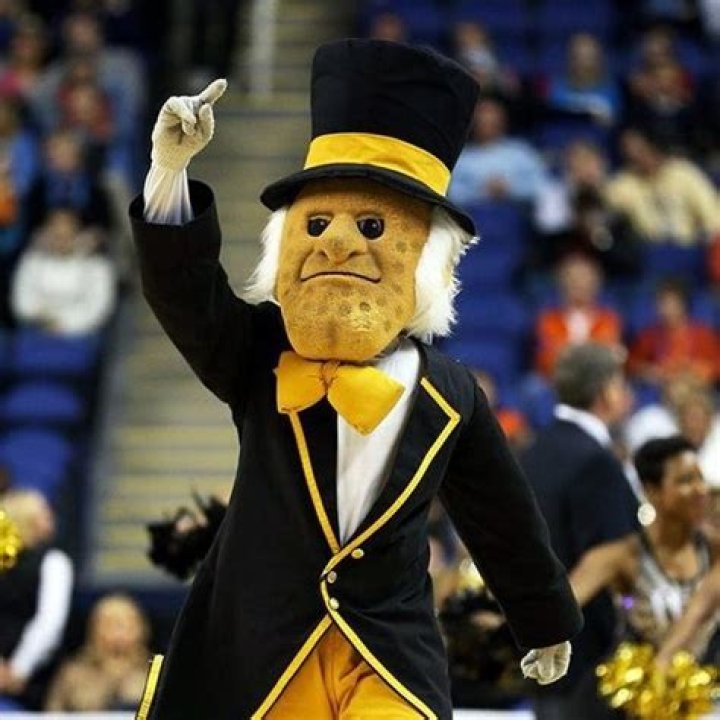 Demon Deacon Mascot: The Spirit of Wake Forest University