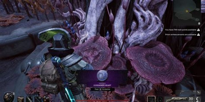 Detritus Foundry Remnant 2: Exploring the Depths of This Iconic Location