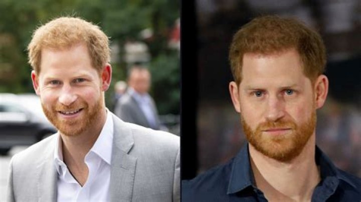 Did Prince Harry Have Twins? Unraveling the Truth Behind the Royal Rumors