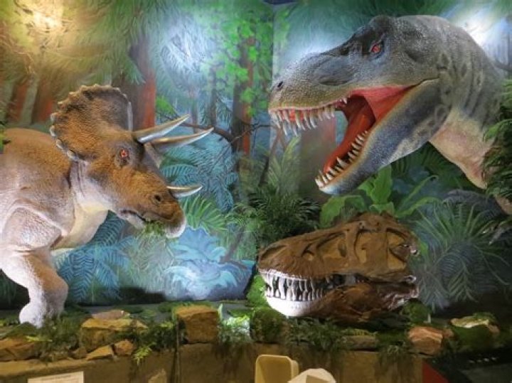 Dinosaur Museum Fruita: A Journey Through Time