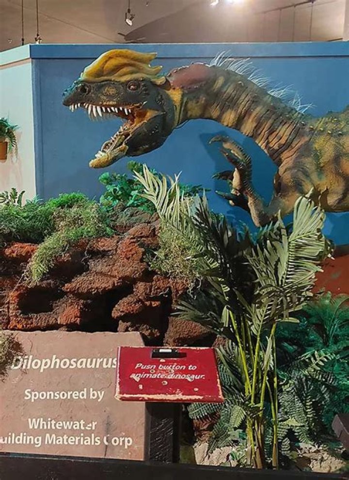 Dinosaur Museum in Fruita: Unveiling the Ancient Mysteries