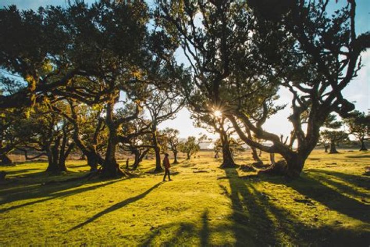 Discovering 7StarIn: Your Ultimate Streaming Destination