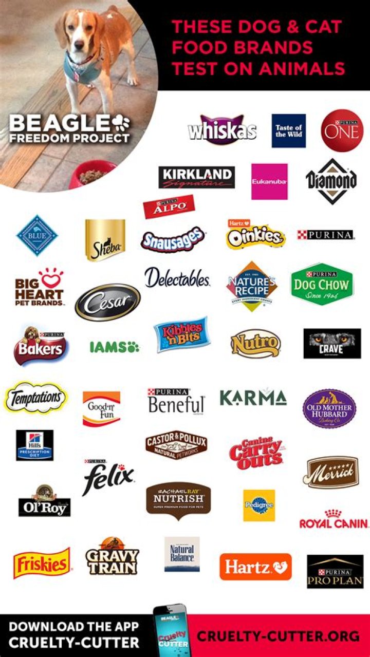 Do CoverGirl Test on Animals? A Comprehensive Guide to Cruelty-Free Beauty