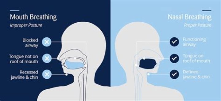 Does Breathing Through Your Nose Help Jawline? A Comprehensive Guide to Facial Structure and Breathing Habits