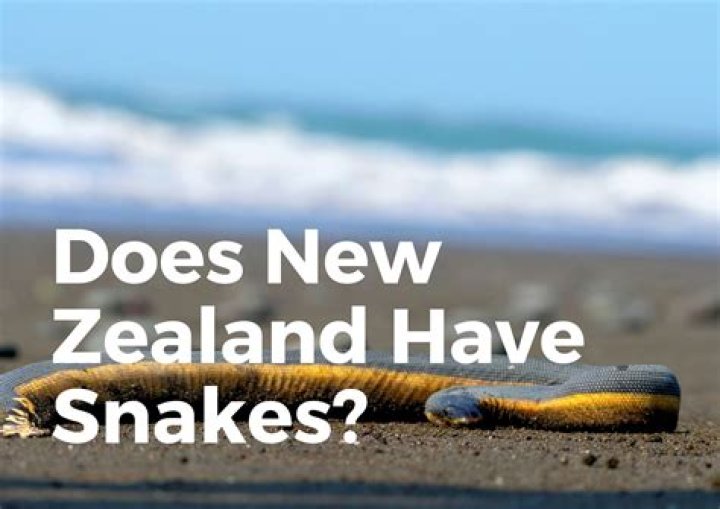 Does New Zealand Have Poisonous Snakes? A Comprehensive Guide