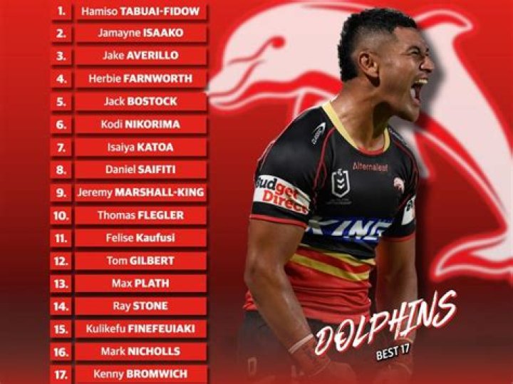 Dolphin Player Hurt Today: The Latest Updates and Insights