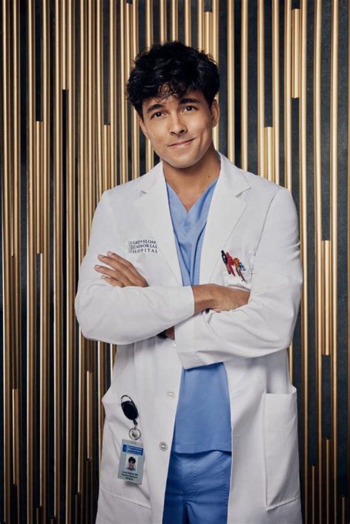 Dr. Mark Sloan on Grey's Anatomy: A Comprehensive Guide