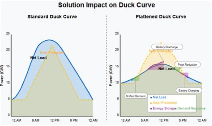 Duck Hodgestats: A Comprehensive Guide to the Rising Cricket Star