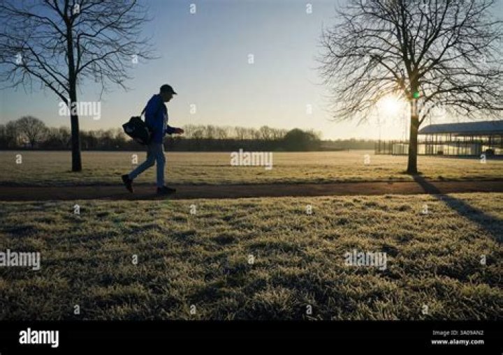 Early Morning Visitor: A Comprehensive Guide to Understanding and Embracing Your Morning Guests