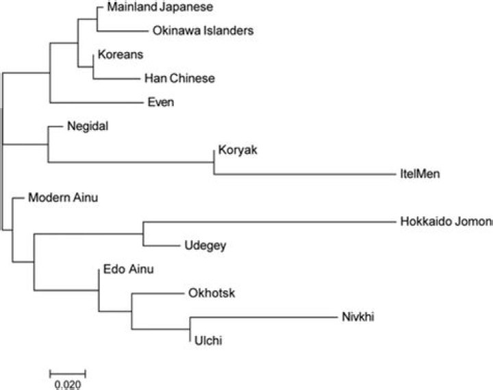 Ethnic Derivation of Surnames: A Comprehensive Guide to Understanding the Roots of Family Names