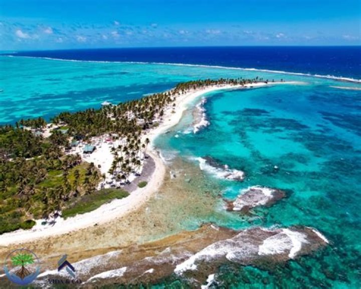 Exploring the Allure of Hannahowo Nude: A Deep Dive