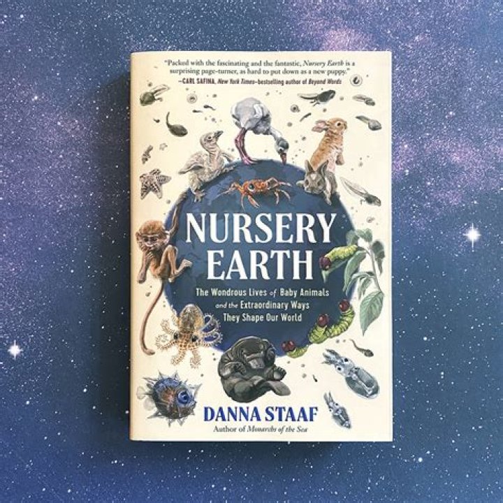 Exploring the Allure of Imaubreykeys OnlyFans: A Journey Into the World of Content Creation