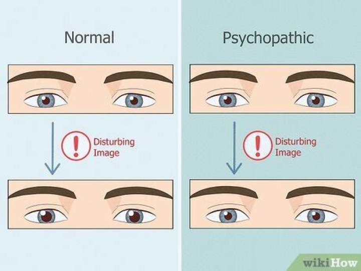 Eyes of Psychopath: Unveiling the Truth Behind the Gaze