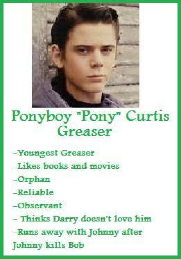 10 Fascinating Facts About Ponyboy: A Comprehensive Guide