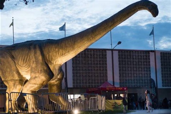 Fairgrounds Theater: A Thrilling Journey Into the Heart of Entertainment