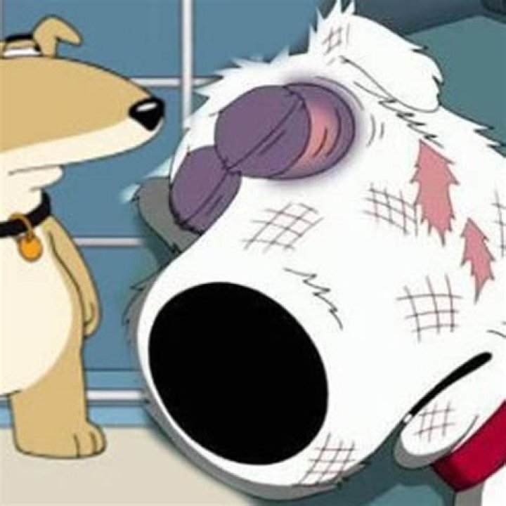 Family Guy Brian Replacement Dog: Exploring the Evolution of Peter Griffin's Best Friend