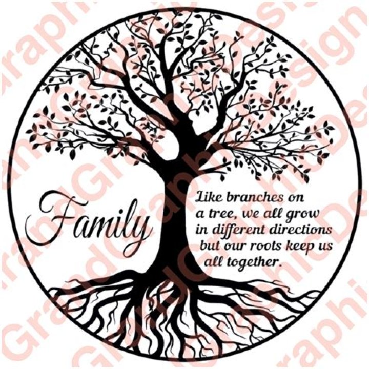 Discover the True Family Roots Meaning: A Comprehensive Guide