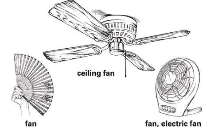 Fan Definition: Understanding the True Meaning of Fandom
