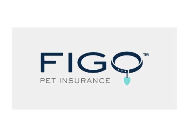 Comprehensive Guide to Figo Pet Health Insurance: Protect Your Beloved Companion