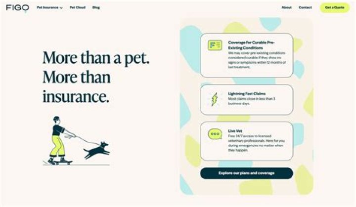 How to File a Claim with Figo Pet Insurance: A Comprehensive Guide