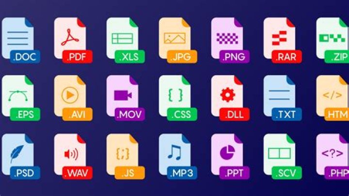 Understanding File Types: A Comprehensive Guide for Better Digital Management