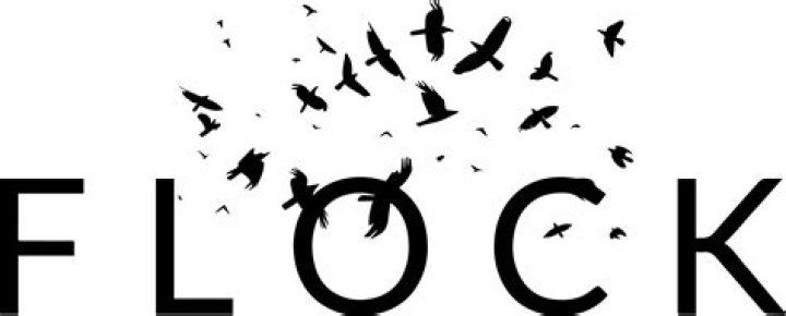 Flock Definition: Understanding the Concept and Its Relevance