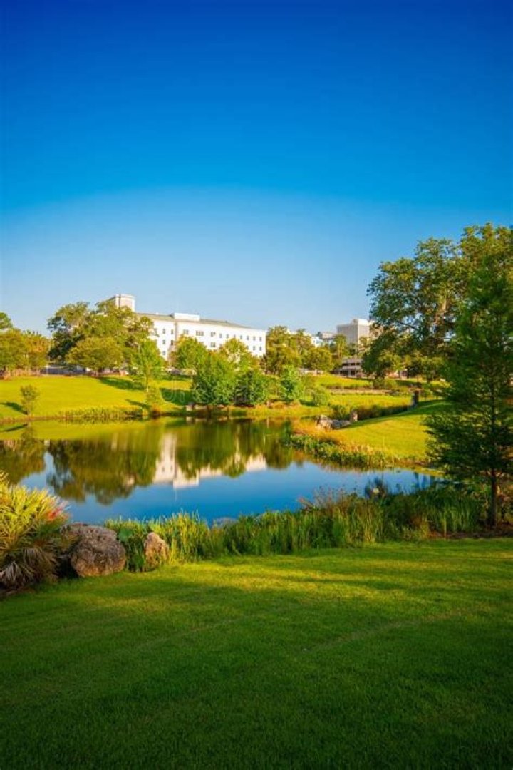 Discover the Beauty of Florida Prairietate Park: A Paradise for Nature Lovers